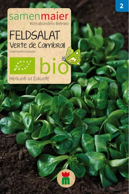 Produktbild von Feldsalat Verte de Cambrai - 2 g Saatgut