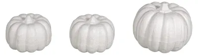 Immagine prodotto di Zucca in polistirolo Rayher, bianca, confezione da 3 pezzi, assortite: 1 zucca di 7x6 cm, 2 zucche