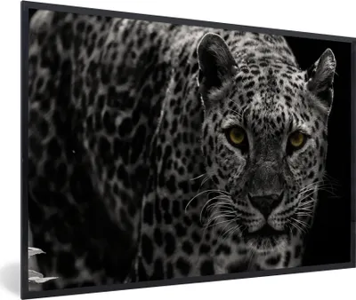 Produktbild von MuchoWow® MuchoWow® Gerahmtes Poster Leopard - Schwarz - Weiß 60x40 cm - Poster mit zchwarzem Bilderrahmen - Printing - Wanddeko Schlafzimmer