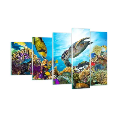 Produktbild von Bilder auf glas - Riff Koralle Fisch - 100x60cm - Glasbilder - Wandbilder - Kunstdruck - zum Aufhängen bereit - Wanddekoration aus Glas - Glas Bilder - Wandbild auf Glas - 5 Teile - GEG100x60-3704