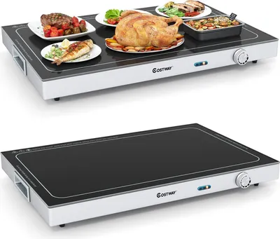 Produktbild von Elektrische Warmhalteplatte, Temperatur einstellbar, 50 x 29 cm Glas