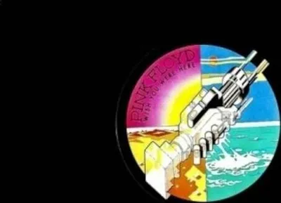 Zdjęcie produktu dla Pink Floyd - Wish You Were Here (180 g) (LP)