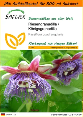 Produktbild von SAFLAX Garden in the bag - Riesengranadilla / Königsgranadilla - Passiflora quadrangularis - 12 Samen - Mit Anzuchtsubstrat im praktischen, selbst aufstellenden Beutel