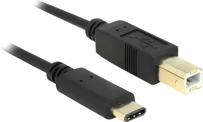 Image de DELOCK USB Kabel Delock C -> B St/St 2.00m schwarz