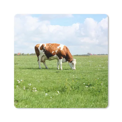 Produktbild von MuchoWow® Mauspad Mousepad Kuh - Braun - Weiß - Tier 30x30 cm - Mousepads - Maus Mat - Pad - Mausunterlage - Gaming
