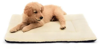 Immagine prodotto di Cuscino per cani, in peluche e pile, dimensioni 55,9 x 61 cm, spessore di circa 2,5 cm, lavabile in lavatrice