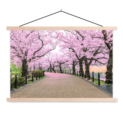 Obrázek produktu pro MuchoWow® Textilní plakát - Sakura - Jaro - Japonsko - 60x40cm - S hnědými lamelami