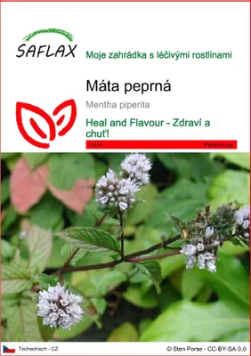 Obrázek produktu pro SAFLAX - máta peprná - Mentha piperita - 300 Semena