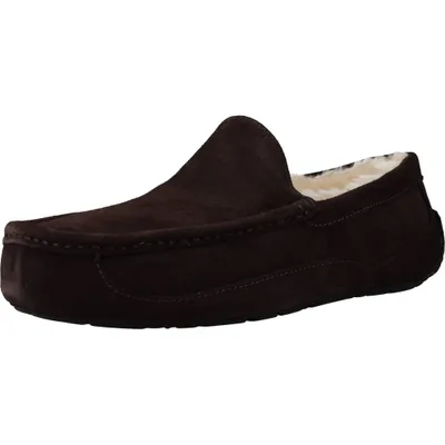 Produktbild von UGG Ascot Wildleder Hausschuhe, Braun 41 EU