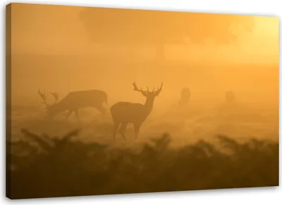 Produktbild von Leinwandbild hirschherde in der morgendämmerung 90x60 cm Feeby braun wandbild bereit zum aufhängen