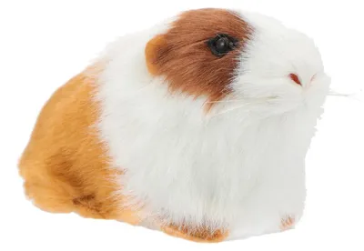 Imagen del producto de Juguete de peluche con forma de conejillo de Indias