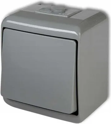 Immagine prodotto di Interruttore unipolare JUNIOR, grigio