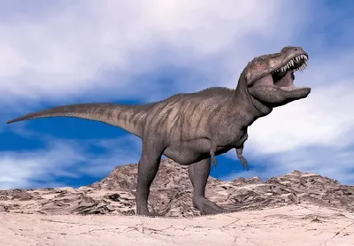 Produktbild von 3D Postkarte Tyrannosaurus Rex
