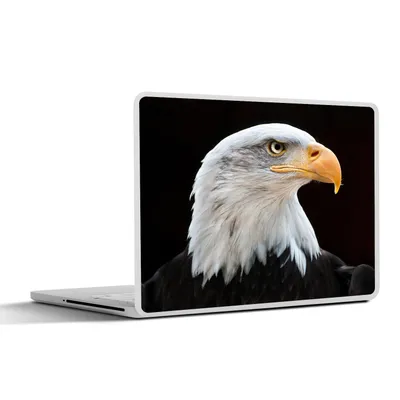 Produktbild von MuchoWow® Laptop Aufkleber Sticker Cover Seeadler - Porträt - Vogel - Seeadler 25x18 cm - Laptop-Deko