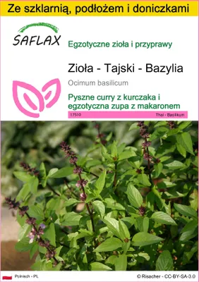 Zdjęcie produktu dla SAFLAX - Zestaw do uprawy - Zioła - Tajski - Bazylia - 200 Nasiona - Z mini szklarnią, podłożem uprawowym i 2 doniczkami - Ocimum basilicum