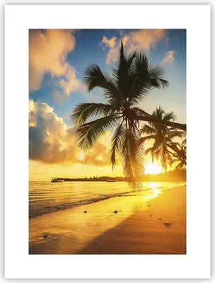 Produktbild von Poster - Poster ohne Rahmen - Meer Strand Palme - 30x40 cm - Wand Bild - Wanddeko - Wandbilder - Kunstposter - Wandposter - Bilder - Kunstdruck - Wanddekoration - Wandbild - P2XPA30x40-3922