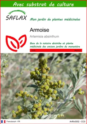 Image de SAFLAX  - Armoise - 500 graines - Avec substrat - Artemisia