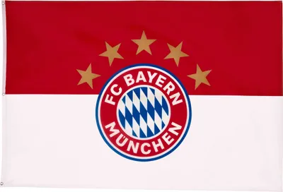 Produktbild von FC Bayern München Hissfahne 5 Sterne Logo 180x120cm