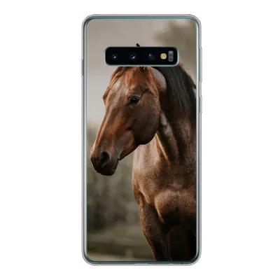 Produktbild von MuchoWow® Handyhülle Schutzhülle Hülle für Samsung Galaxy S10 Pferd - Licht - Wald Silikon Softcase Handy Hülle - Handytasche