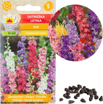 Semi Di Pepe Piper Nigrum - 20 Semi Per Coltivazione, SAFLAX - Foto 4