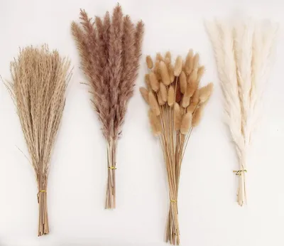 Produktbild von 100 Stück Pampasgras mit Kaninchenohren, getrocknete Blumen – Schilfgras-Bouquet für die Hochzeit – Boho-Blumen – Dekoration für den Wohnraum