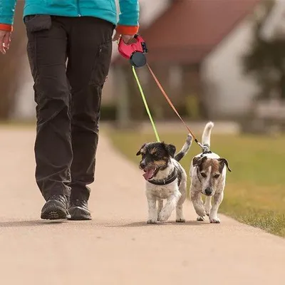 Produktbild von Famanu Hundeleine - Lange einziehbare Hundeleine, 3m, für zwei Hunde