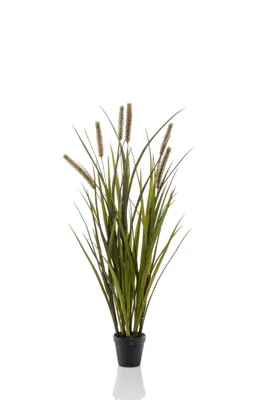 Produktbild von Emerald Künstliche Cattailsgras 85 cm Topf