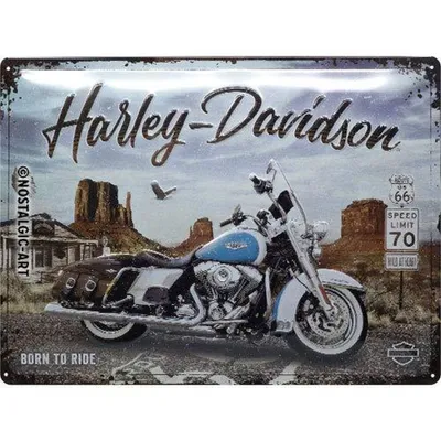 Zdjęcie produktu dla Metalowy Plakat 30X40Cm Harley Davidson Route