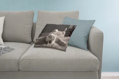 Produktbild von MuchoWow® Zierkissen Sofakissen Wohnzimmer Dekokissen 60x40 cm Tier - Katze - Grau - Kopfkissen - Polster mit Foto