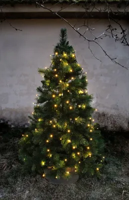 Produktbild von LED Weihnachtsbaumbeleuchtung für ca. 180-200 cm Bäume