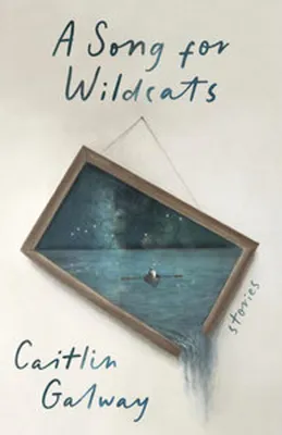 Obrázek produktu pro A Song for Wildcats