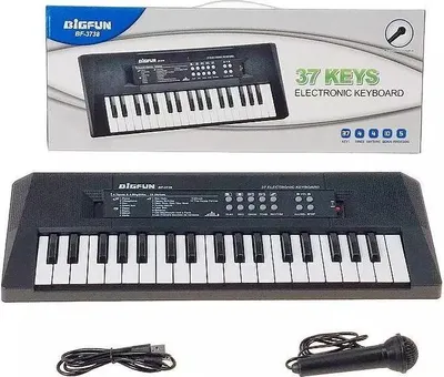 Produktbild von 37-Tasten-Keyboard mit Mikrofon – ADAR