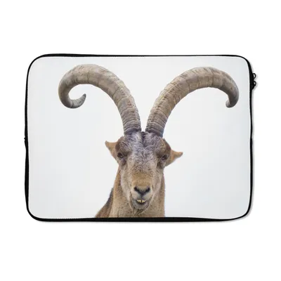 Produktbild von MuchoWow® Laptop Hülle 14 ZollSteinbock - Tiere - Hoorn Laptoptasche - Laptoptasche - Stoßsicher - Schutzhaube