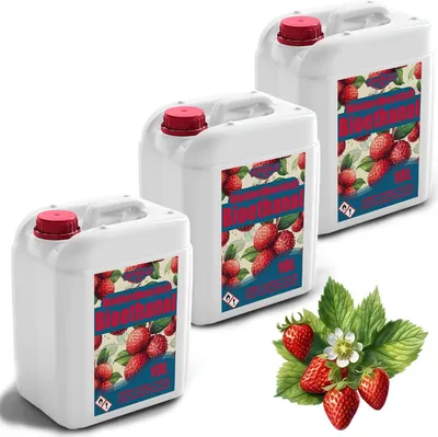 Produktbild von Bioethanol 96,6% 30L |  Alkohol Walderdbeerduft 96,6% 3x10L | Bioethanol für Kamin, Tischkamin | Bioethanol Walderdbeerduft | Saubere Verbrennung, ohne Rauch, lebendige und stabile Flamme
