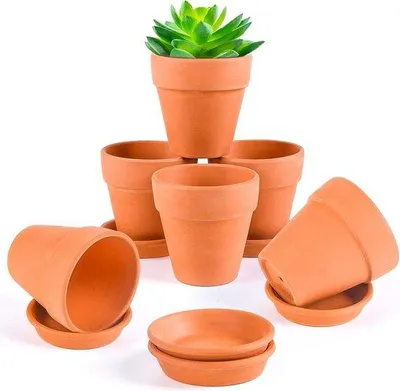 Produktbild von Famanu Mini-Terracotta-Töpfe 6 Stück - 8 cm, für Sukkulenten mit Untersetzern