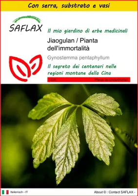 Immagine prodotto di SAFLAX Insieme di coltivazione - Jiaogulan / Pianta dell'immortalità - 30 semi - Gynostemma