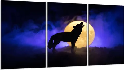 Produktbild von Glasschutzplatte für Herd 3x30x52