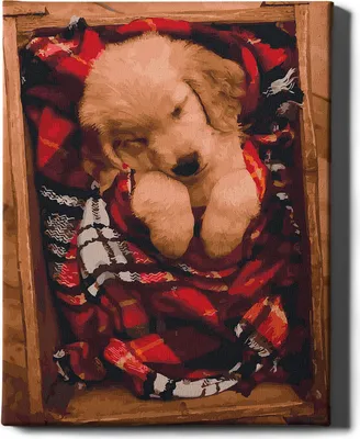 Obrázok produktu pre Ach, umenie! - Súprava na maľovanie podľa čísel - 40x50cm, s dreveným rámom a štetcami "Puppy" DIY