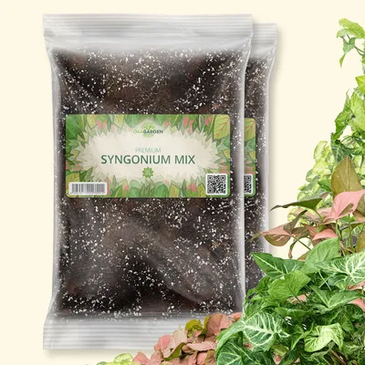 Produktbild von OraGarden Syngonium-Erde 6 Liter