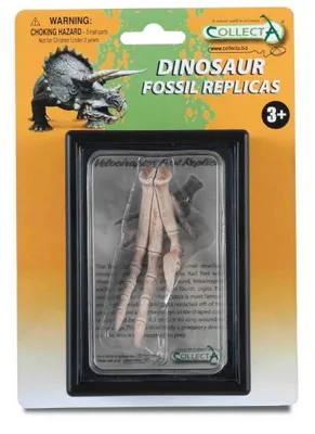 Obrázok produktu pre Replika Dolnej Končatiny Velociraptora V Balení 89285 Collecta