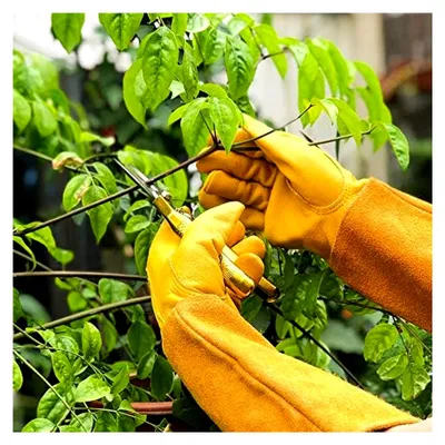 Produktbild von Gartenhandschuhe für Damen und Herren mit Dornenfestigkeit, atmungsaktive lange Lederhandschuhe mit Unterarmschutz, gelb