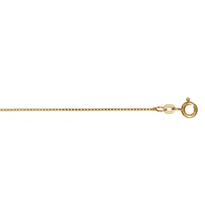 Produktbild von Kette Venezia vierkant 0,90 mm 333/- Gelbgold