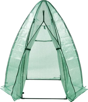 A green greenhouse with an open entrance.