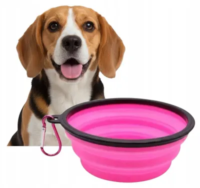 Produktbild von Faltbarer Reise-Napf für Hunde und Katzen, 380ml, Pink
