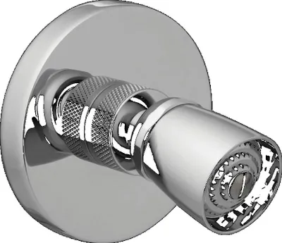Produktbild von Spa Seitenbrause mit Gelenk und Siebstrahldüse Ausladung 55 mm Düsenbreite 27 mm Wandanschluss 1/2"