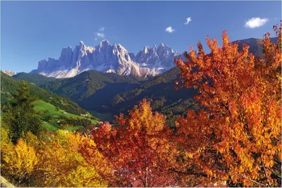 Produktbild von Wallario Poster - Herbst im Gebirgstal unter blauem Himmel, Kunstdruck Größe: 61 x 91,50 cm