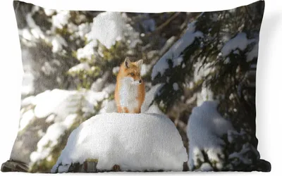 Produktbild von MuchoWow® Outdoor Kissen - Fuchs - Schnee - Baum - 60x40 cm - Wetterfest - Lounge Kissen - Zierkissen - Kissen für Innenräume