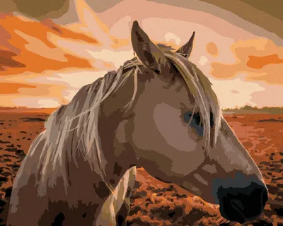 Produktbild von Zuty - Malen nach Zahlen - PFERD BEI SONNENUNTERGANG, 40x50 cm, mit Keilrahmen (bereits gespannt)
