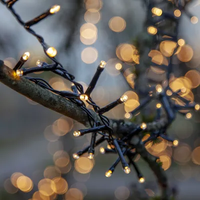 Produktbild von LED-Lichterkette 'Flashy', 800 warmweiße LED