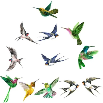 Produktbild von Fensteraufkleber mit 12 Motiven zur Vermeidung von Vogelkollisionen